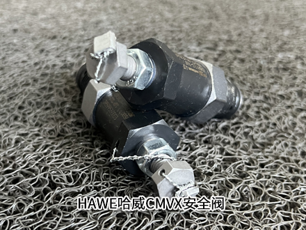 哈威CMVX 2 C-260 哈威CMVX 2 C-260