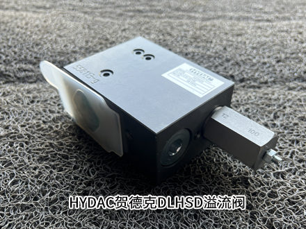 DLHSD-010-12 DLHSD-010-12