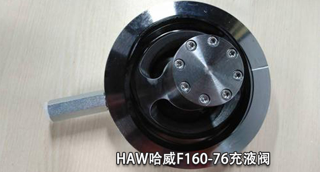 哈威F160-76充液閥 哈威F160-76充液閥